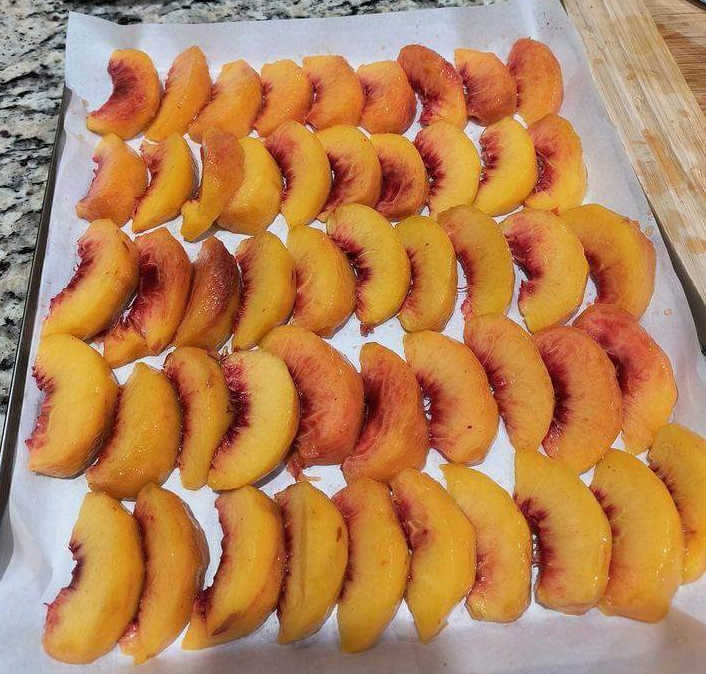 Slices of Bennett Peaches laid out and ready to freeze. 